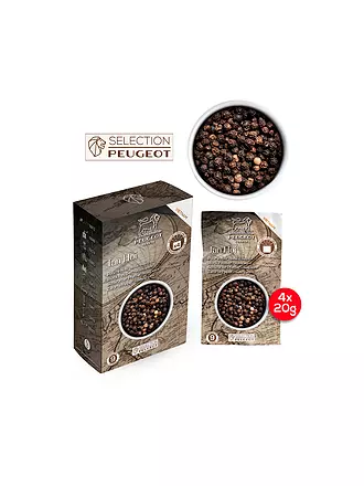 PEUGEOT | Pimienta negra Tan Hoi Vietnam 4x20g |